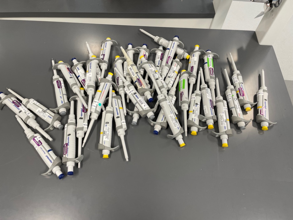 Image of Lot Of Eppendorf Research Plus Single Channel Pipettes